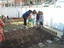 Depois de terem sido feitas as sementeiras em sala de aula os alunos deslocaram-se à horta pata transplantarem os produtos que haviam semeado...